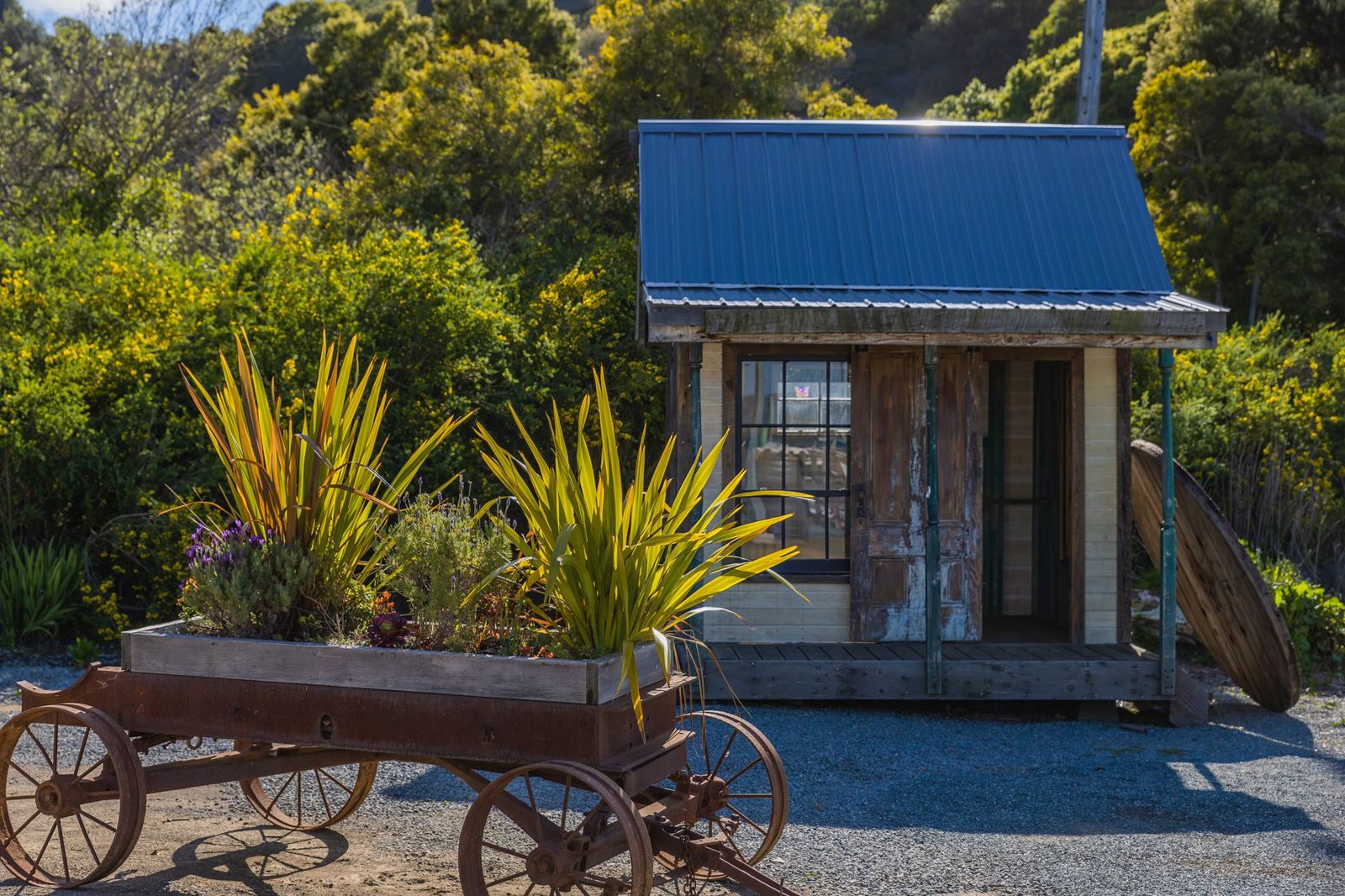Garden room building among plants